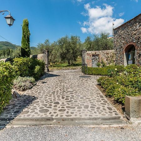 Villa Guinigi Dimora Di Epoca Exclusive Residence & Pool 卢卡 外观 照片